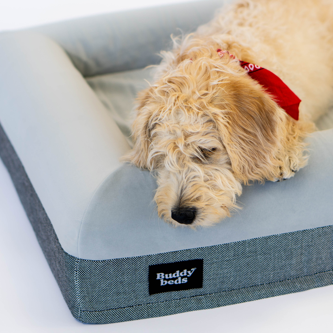 Original Soft Grey Hoes