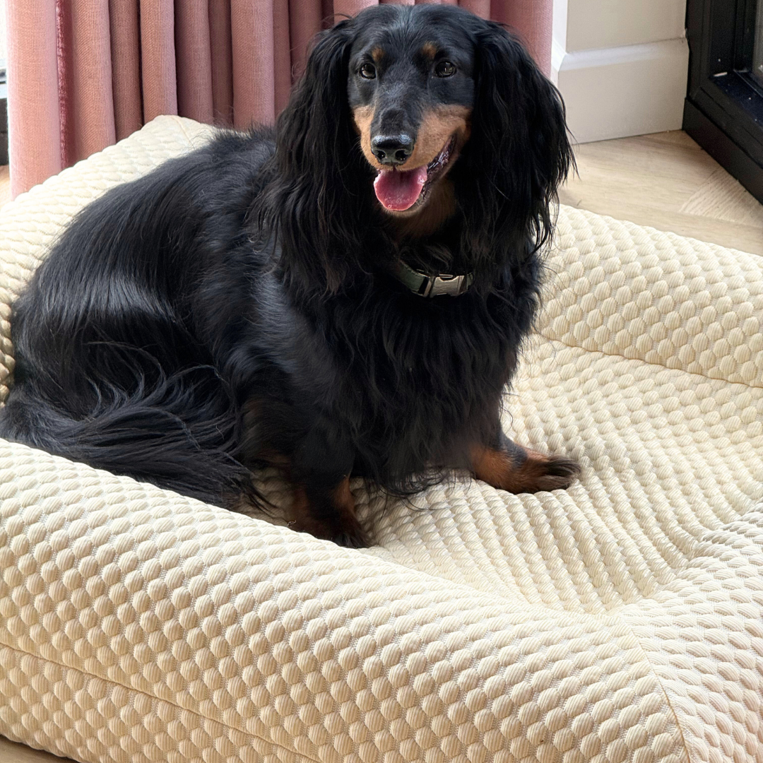 Small Buddy Bed