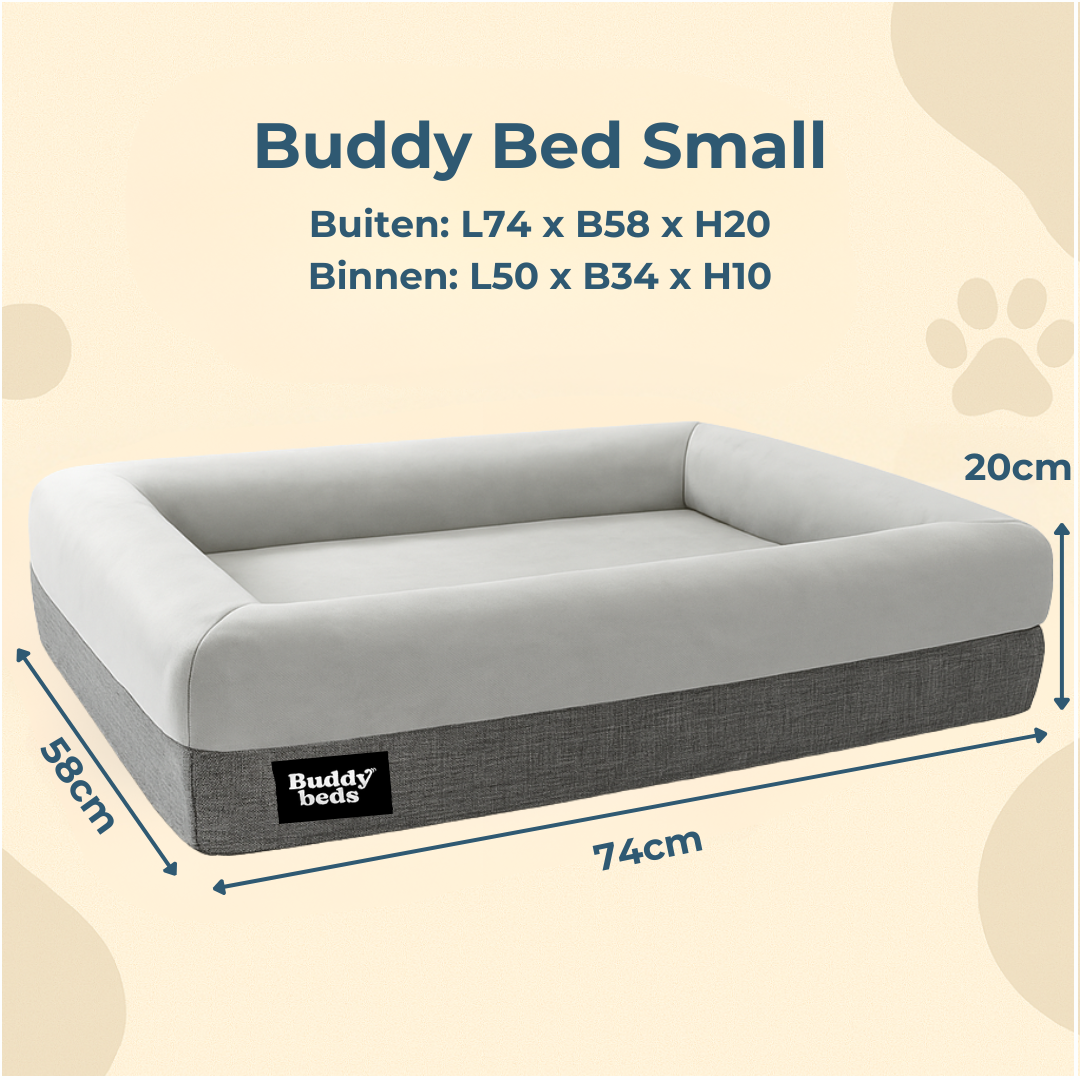 Small Buddy Bed