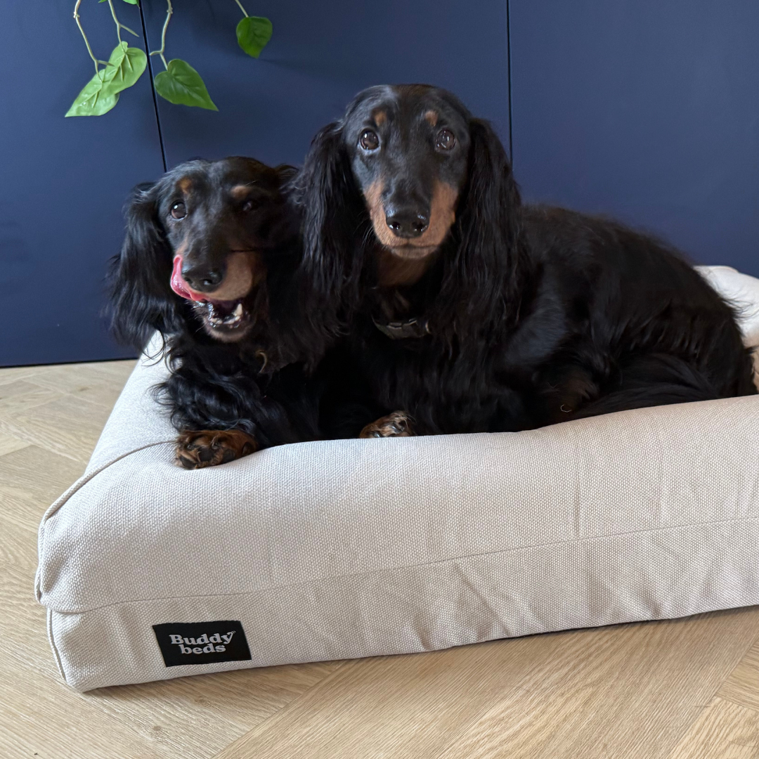 Small Buddy Bed