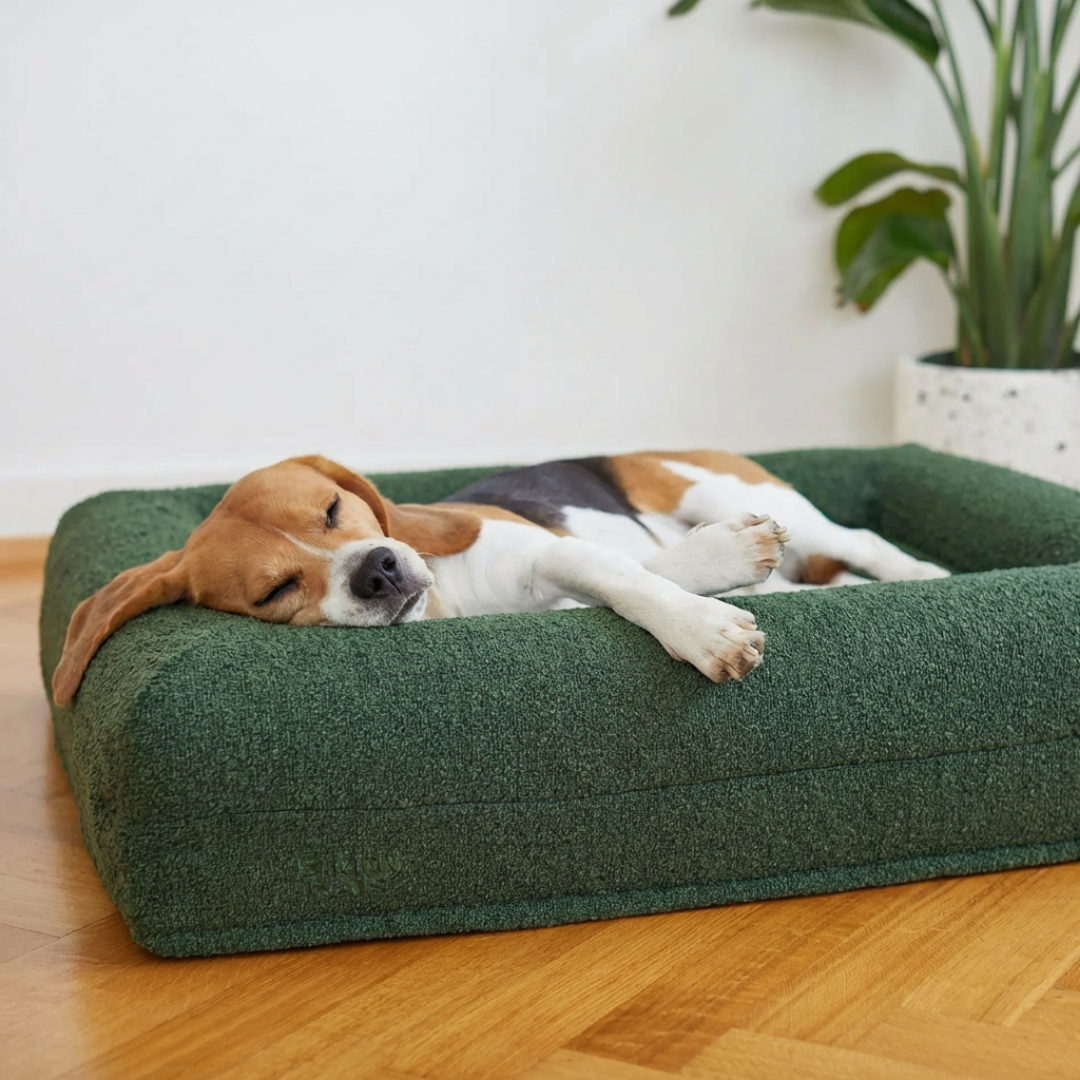 Großes Buddy-Bett