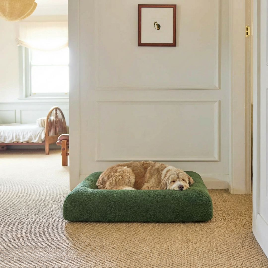 Mittleres Buddy-Bett