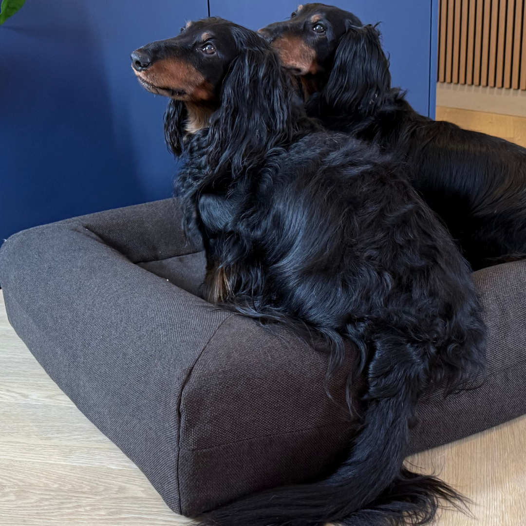 Small Buddy Bed