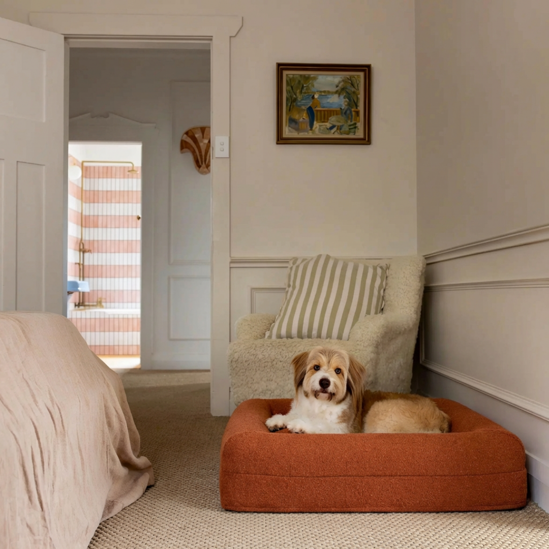 Lockige, cremefarbene Hoes