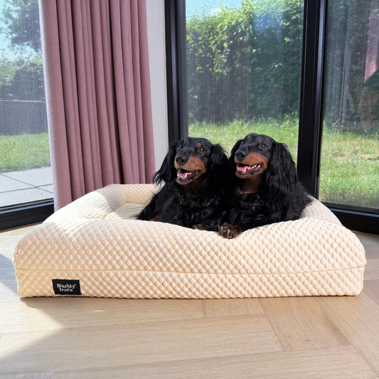 Verkoelende Hoes Natural Yellow