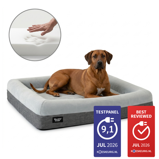 Large Buddy Bed