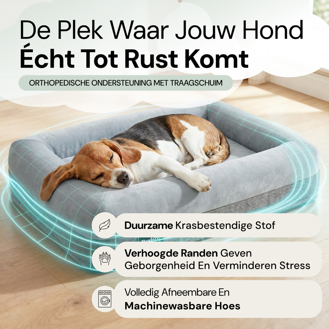 Kleines Kumpelbett