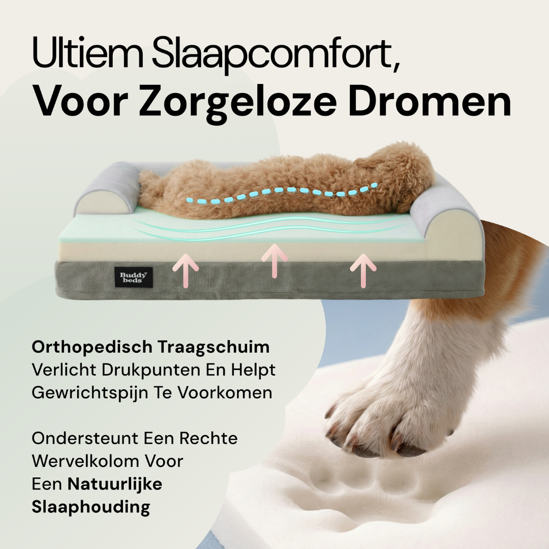 Kleines Kumpelbett