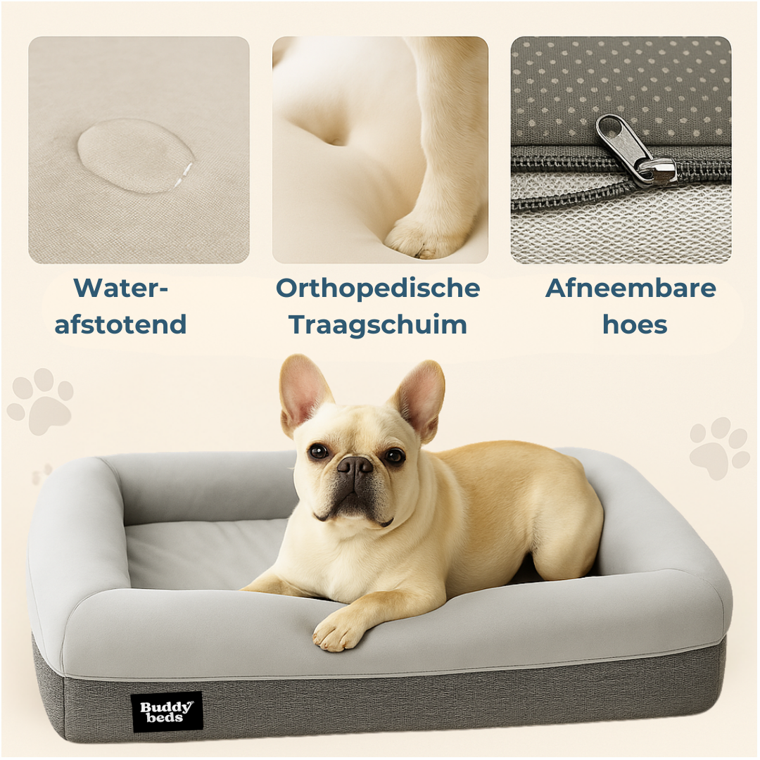 Small Buddy Bed