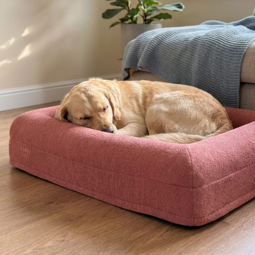 Large Buddy Bed