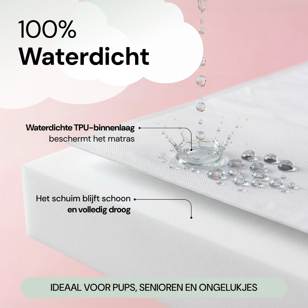 Kleines Kumpelbett