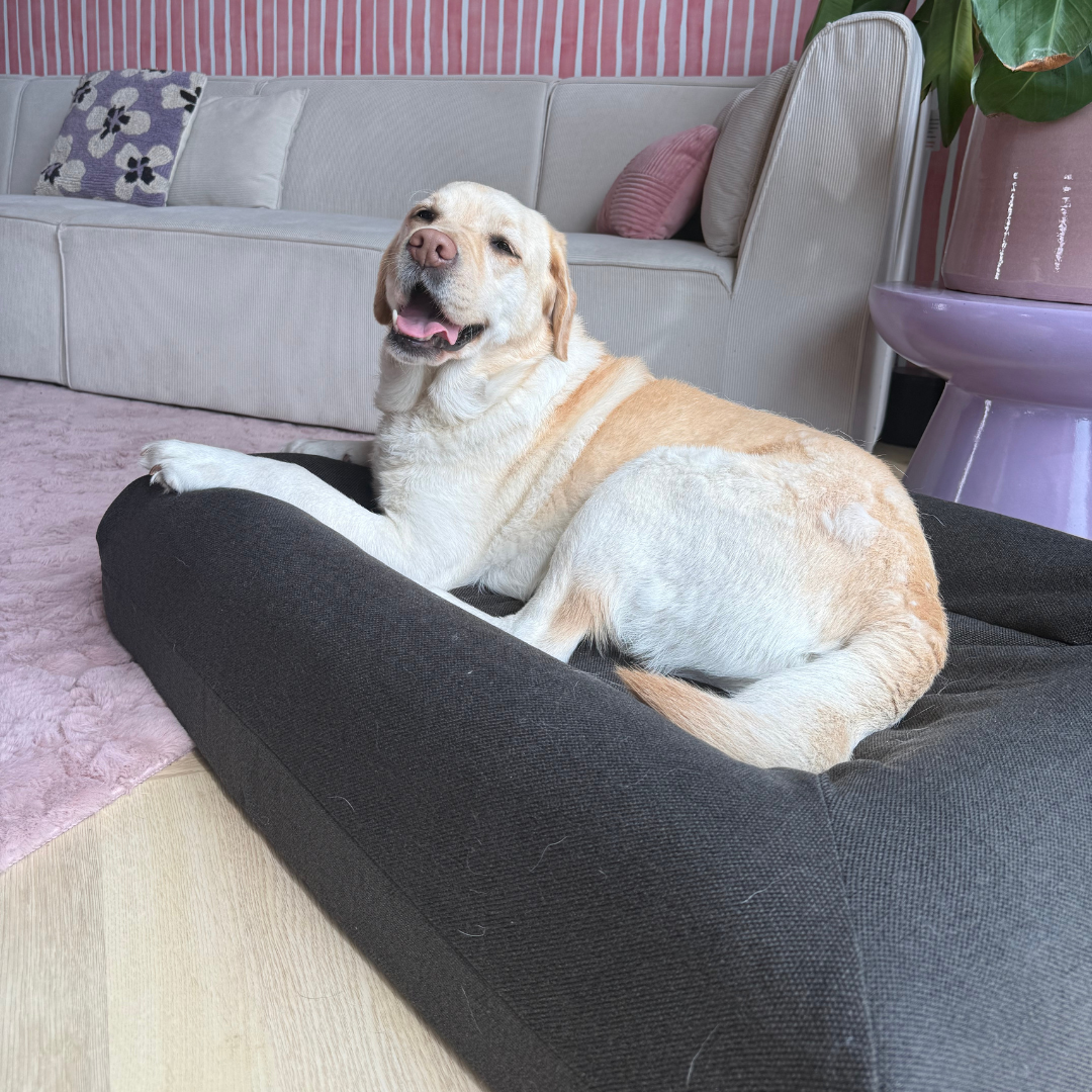 Pullover Hoes Antraciet