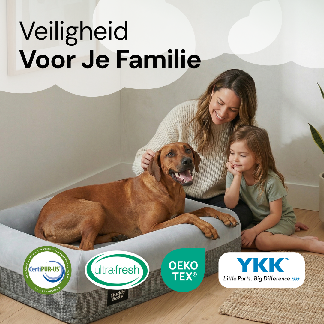 Kleines Kumpelbett