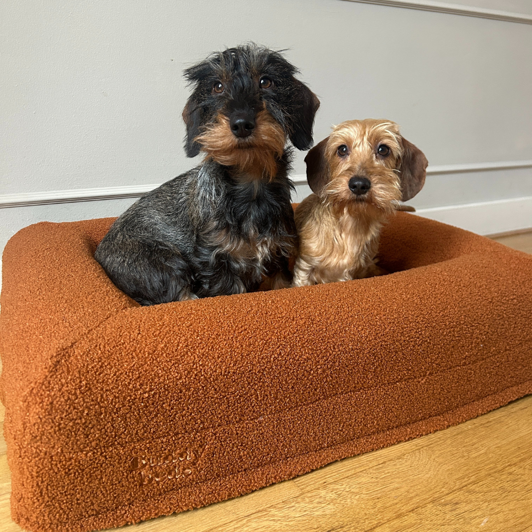 Small Buddy Bed