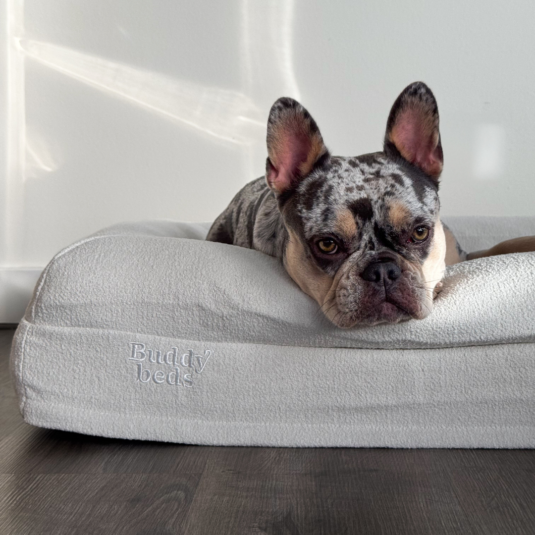 Small Buddy Bed
