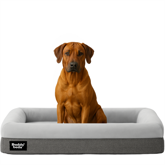 Großes Buddy-Bett