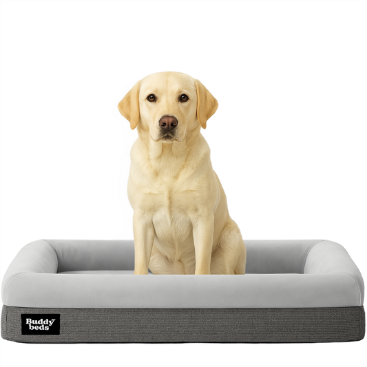 Mittleres Buddy-Bett