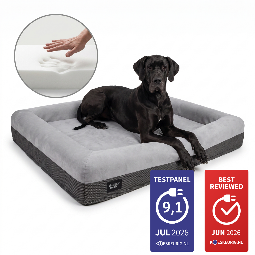 XL Buddy Bed