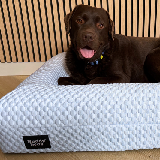 Verkoelende Hoes Icy Blue