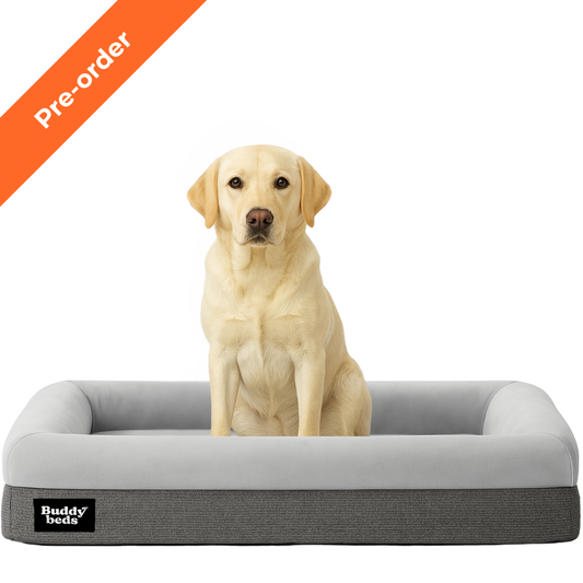Buddy Bed vorbestellen (15. bis 30. Oktober)
