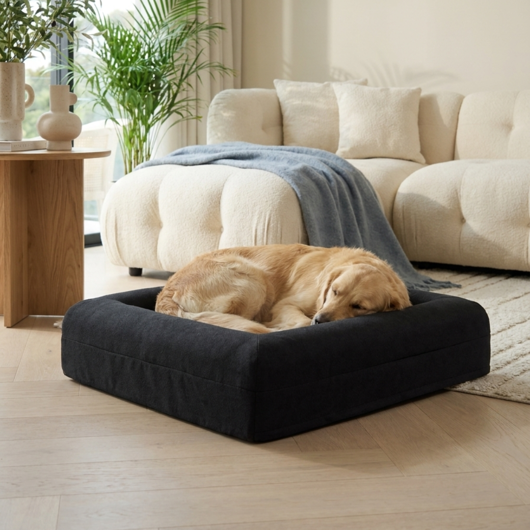 Medium Buddy Bed