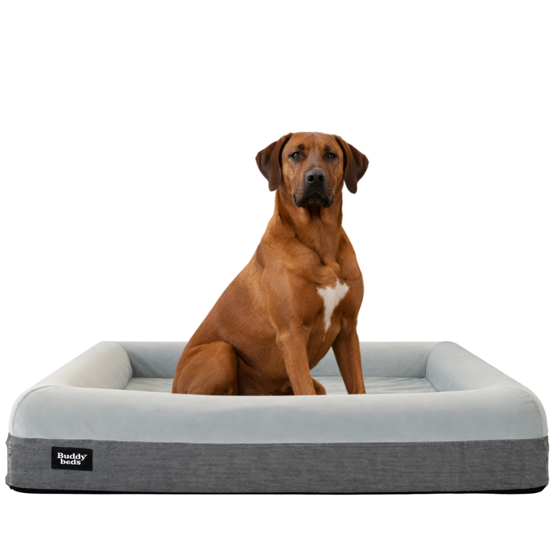 Großes Buddy-Bett