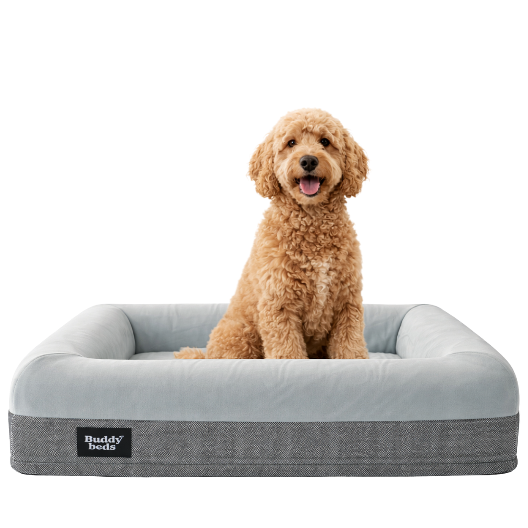 Mittleres Buddy-Bett