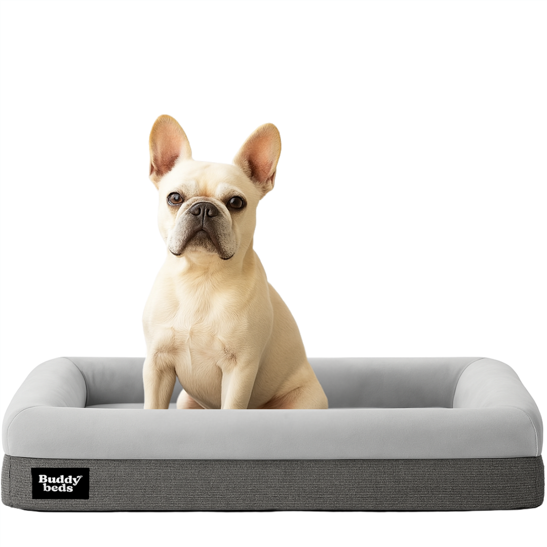 Small Buddy Bed